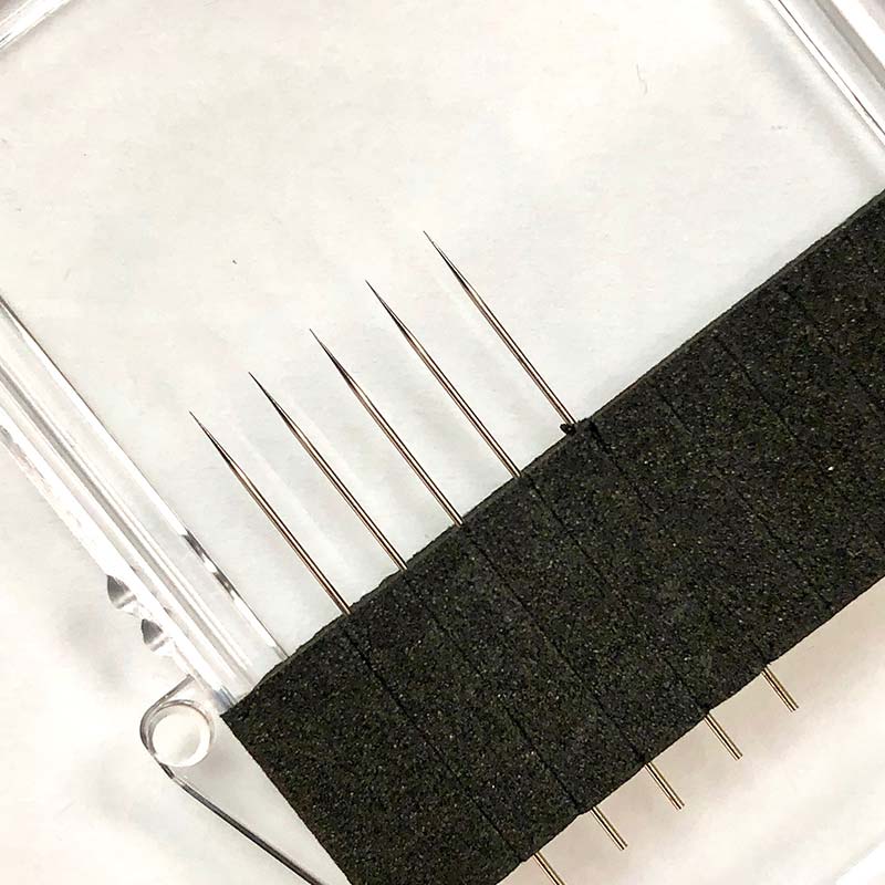 T20 Series T20 Series